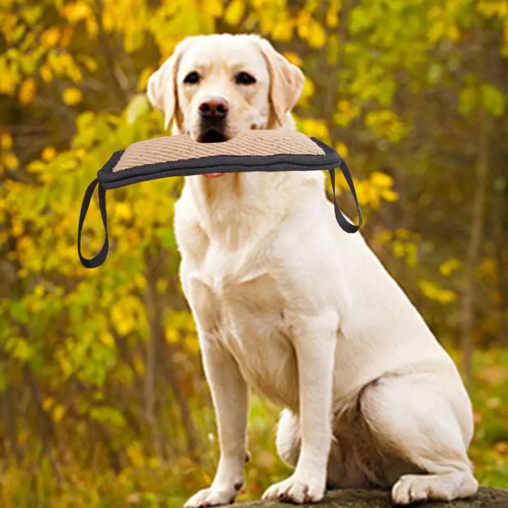 4.png