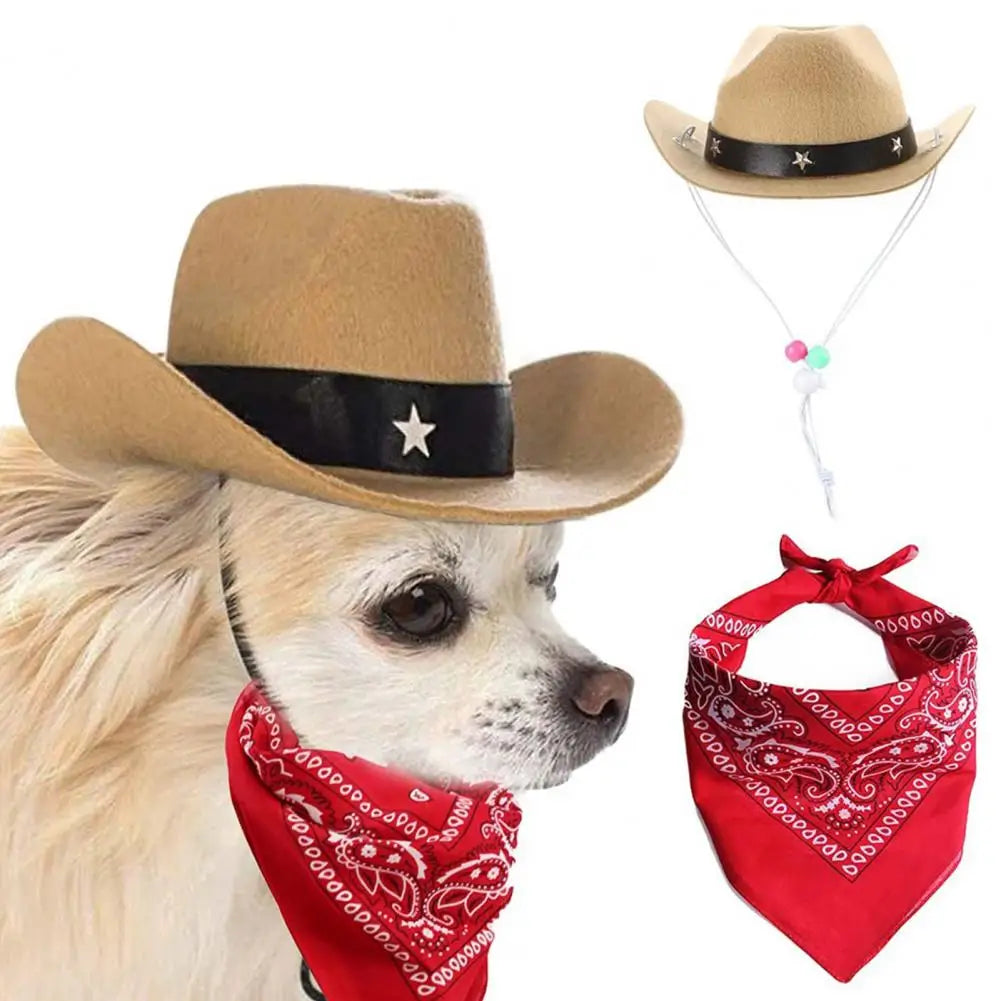 main.png